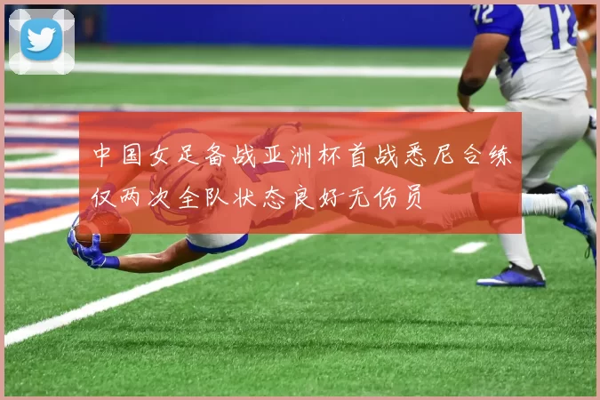 中国女足备战亚洲杯首战悉尼合练仅两次全队状态良好无伤员